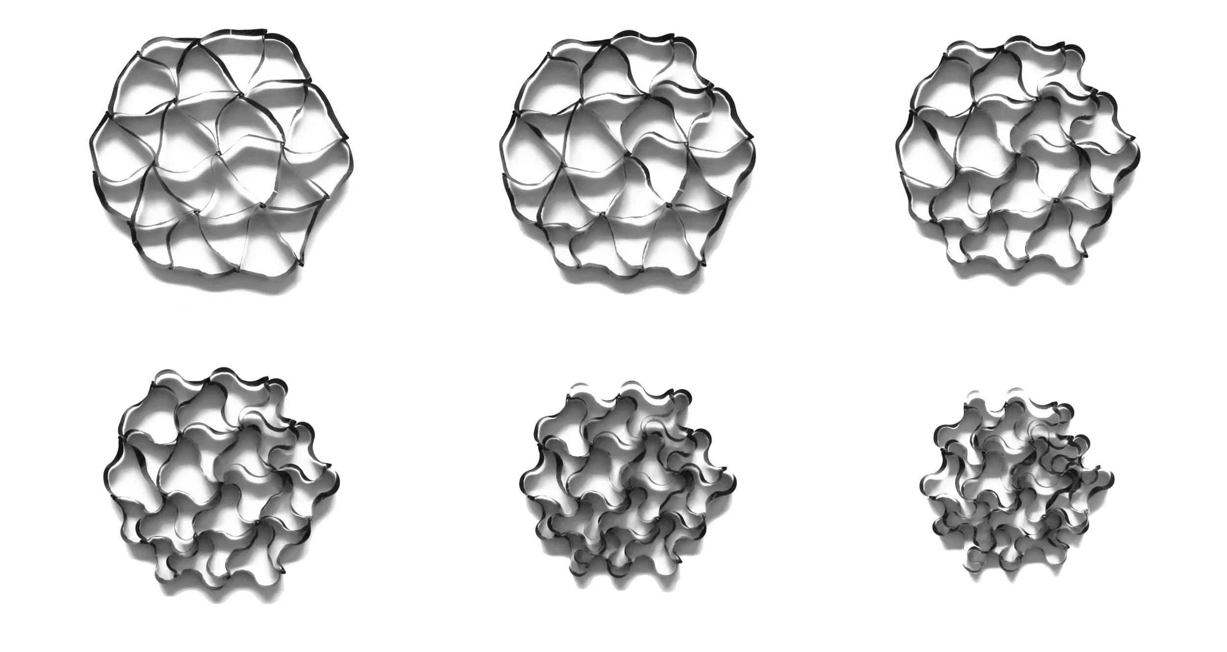 Figure4.jpg