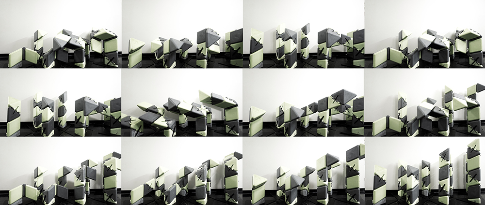 DSC_2130FINAL_Compiled_Small.jpg