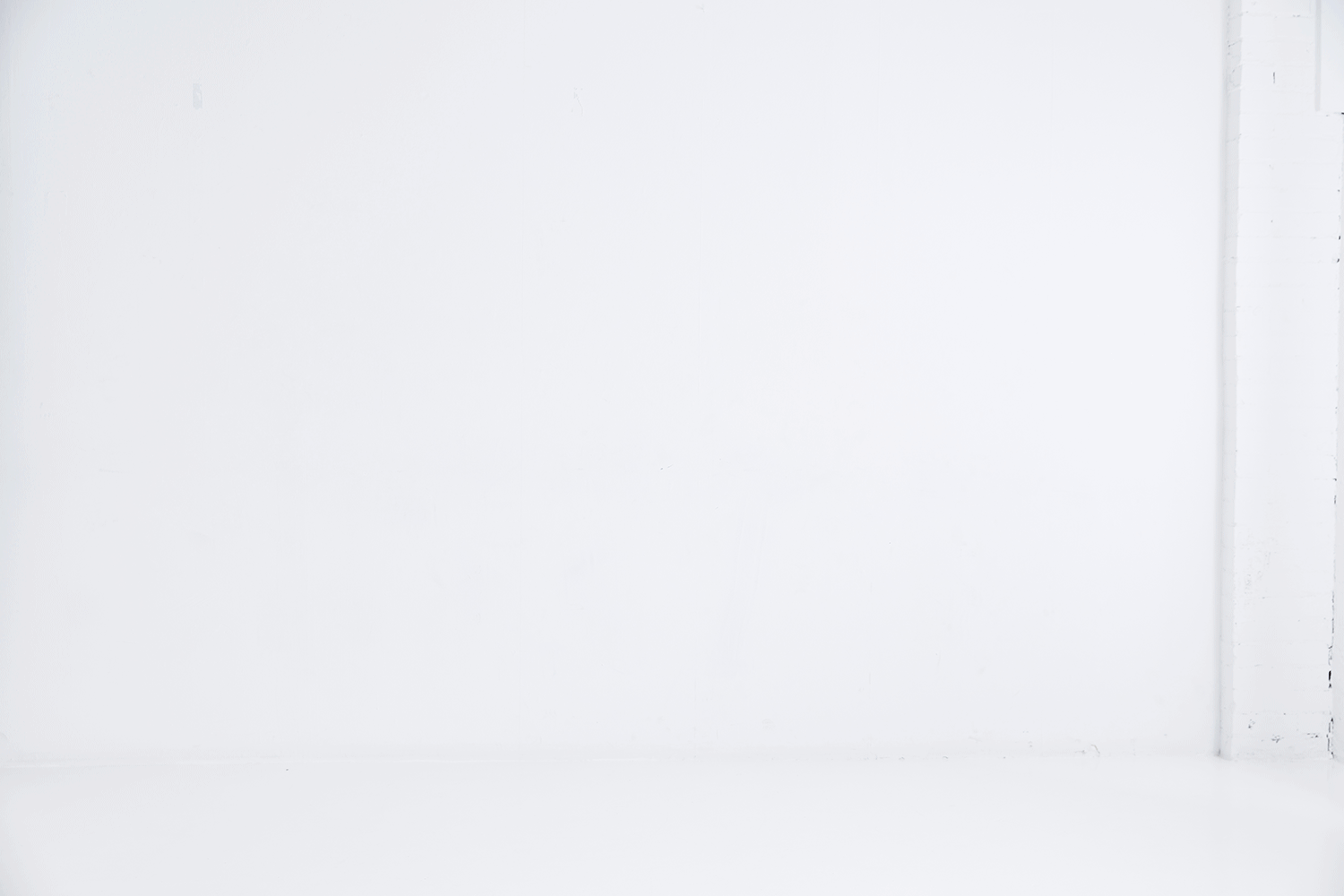 20190326_Studio0700-full.gif