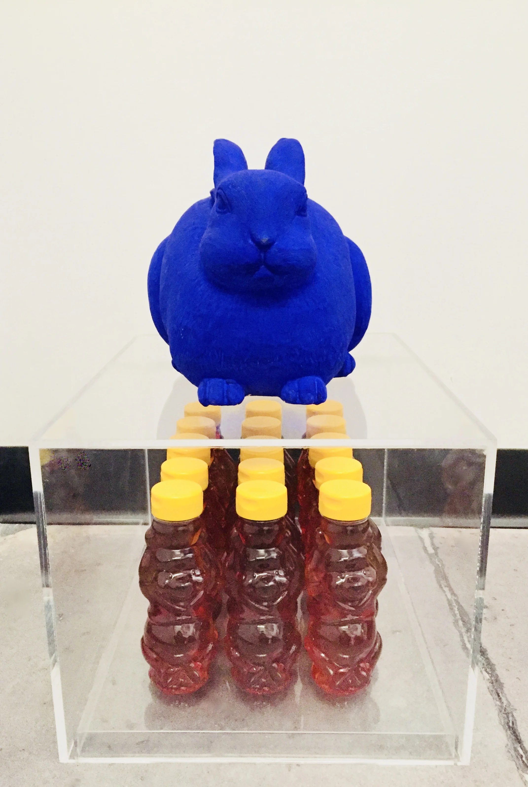 Bunny on Honey, 2017