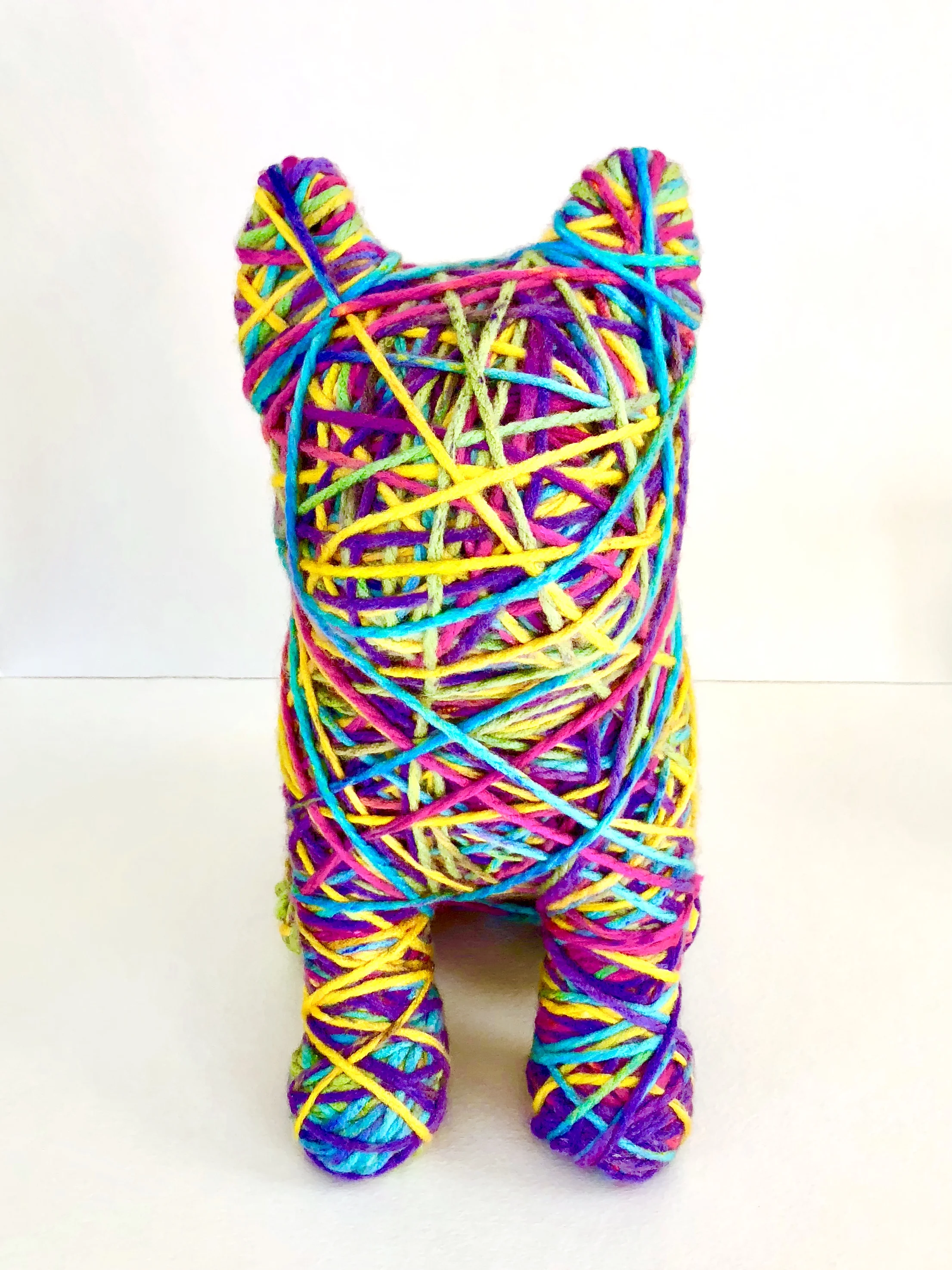 Rainbow Yarn Dog, 2018