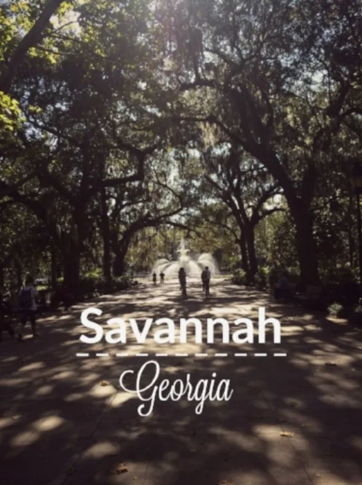 savannah-title.jpg