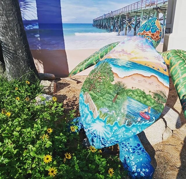 Florida and Flagler Beach....
🌅
This is quintessential beach life!