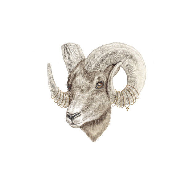 HOROSCOPEANIM2.gif