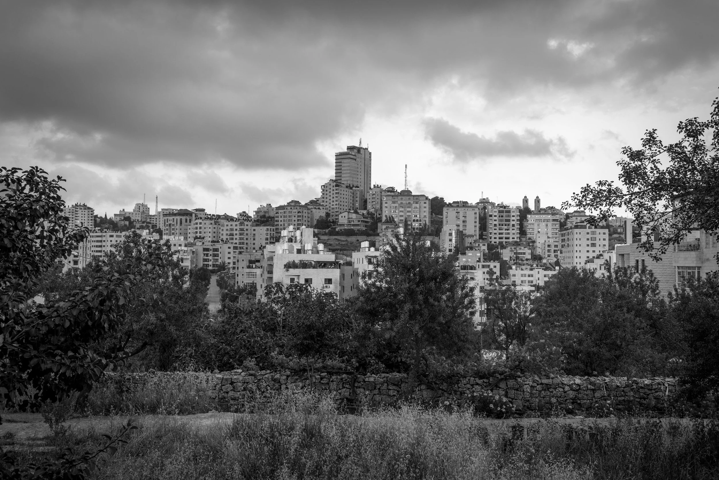 Carmel hotel skyline