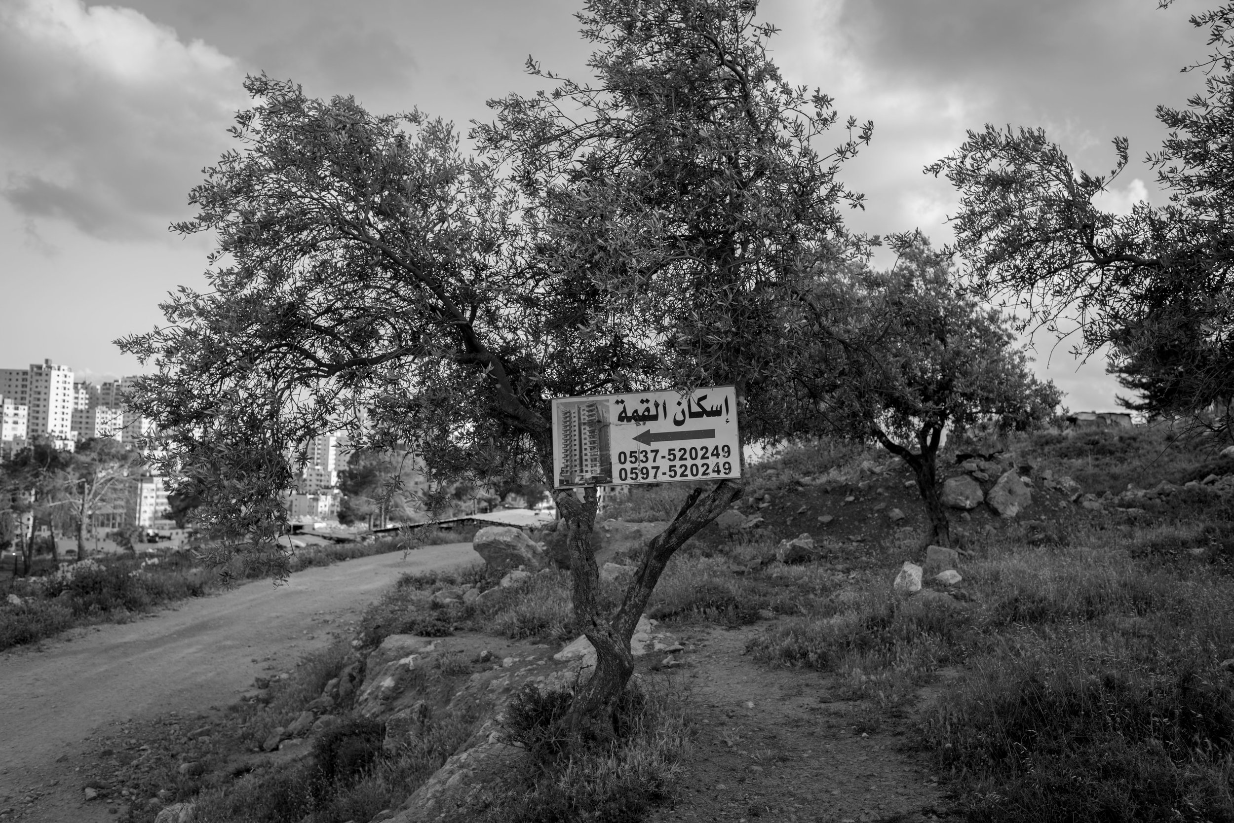 Ramallah real estate