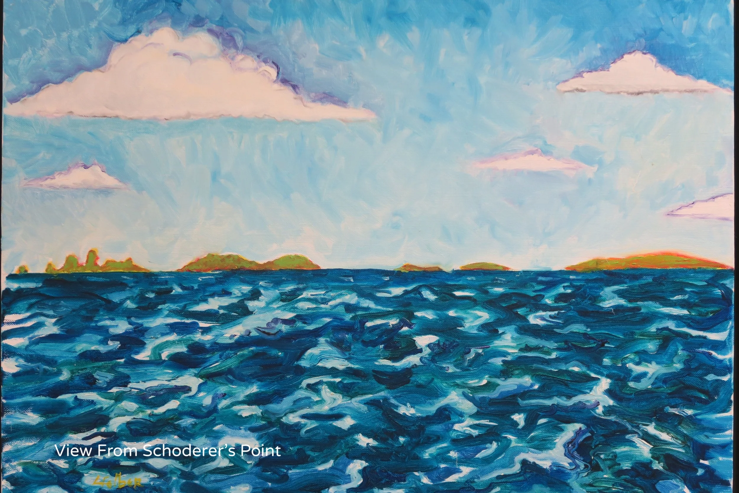 View From Schroderer's Point.JPG