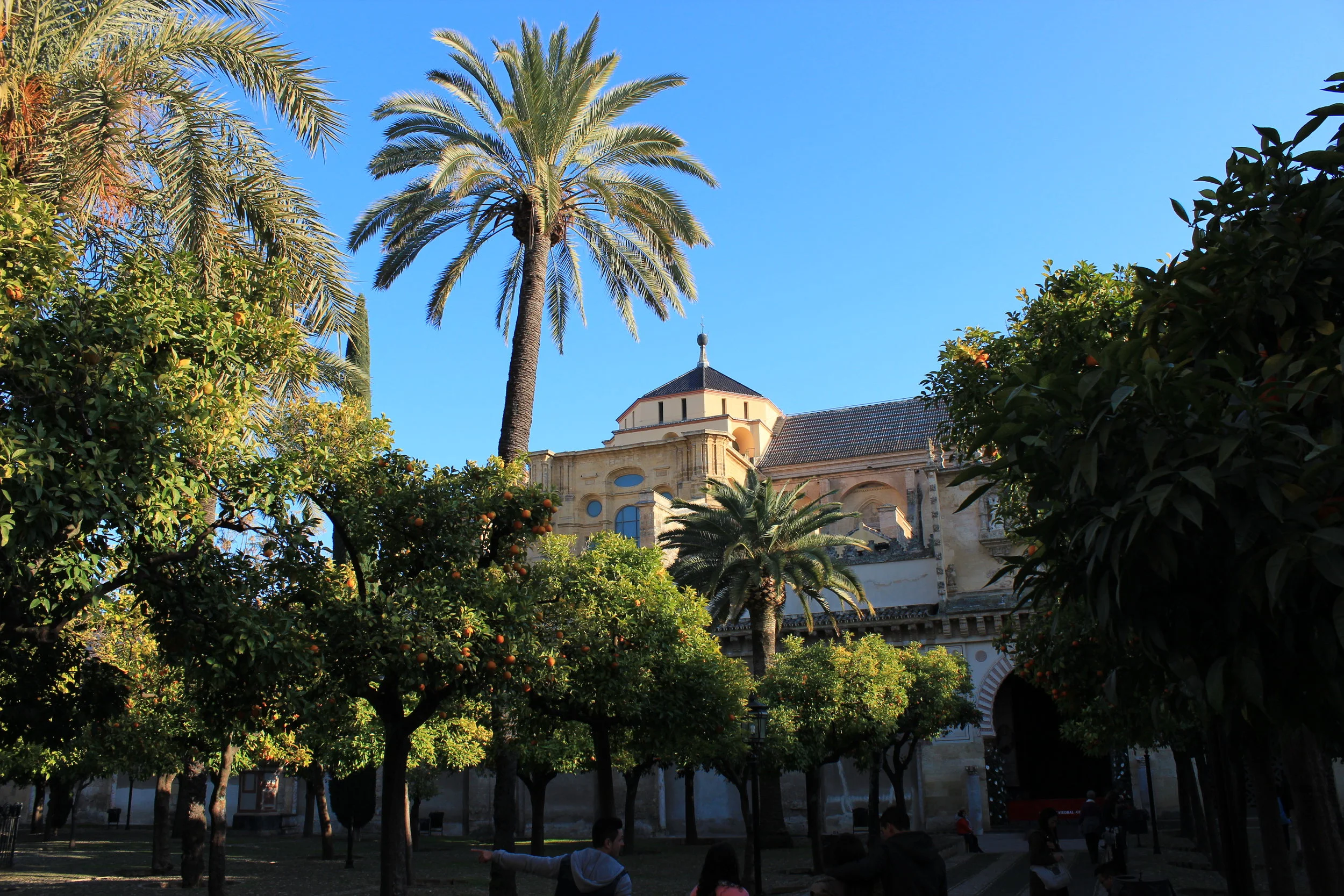 IMG_5592.JPG