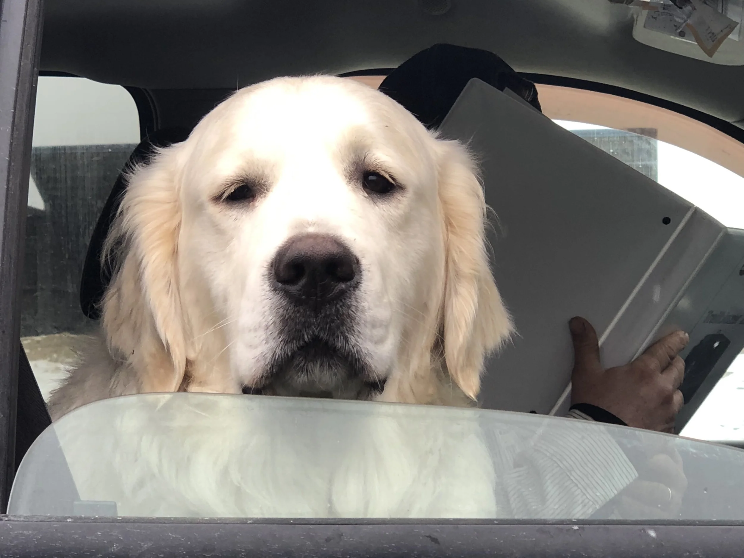 This is Brian. He said to tell you “Good Morning.”