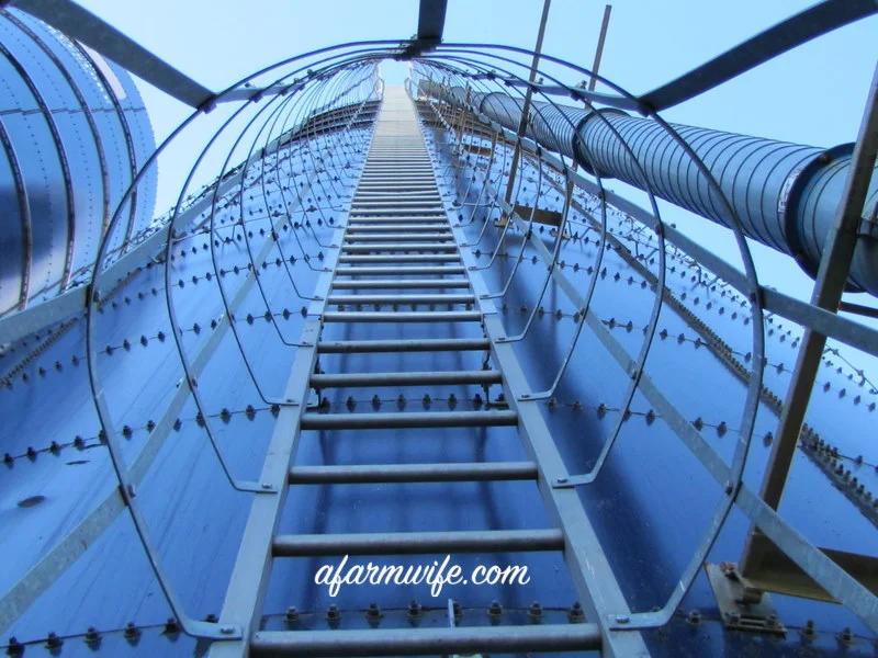 looking up a harvester with watermark.jpg