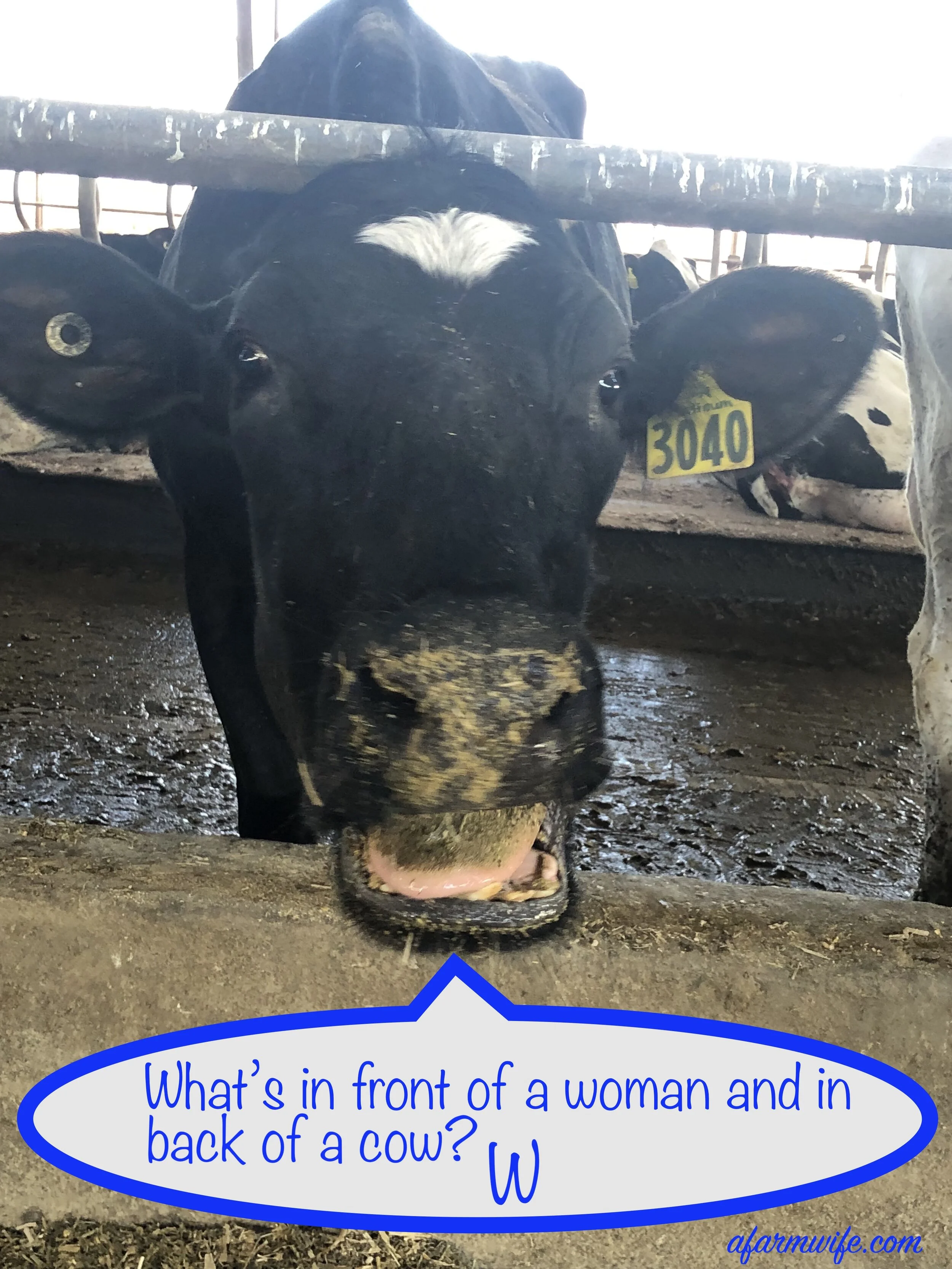 in front and back - W.jpg