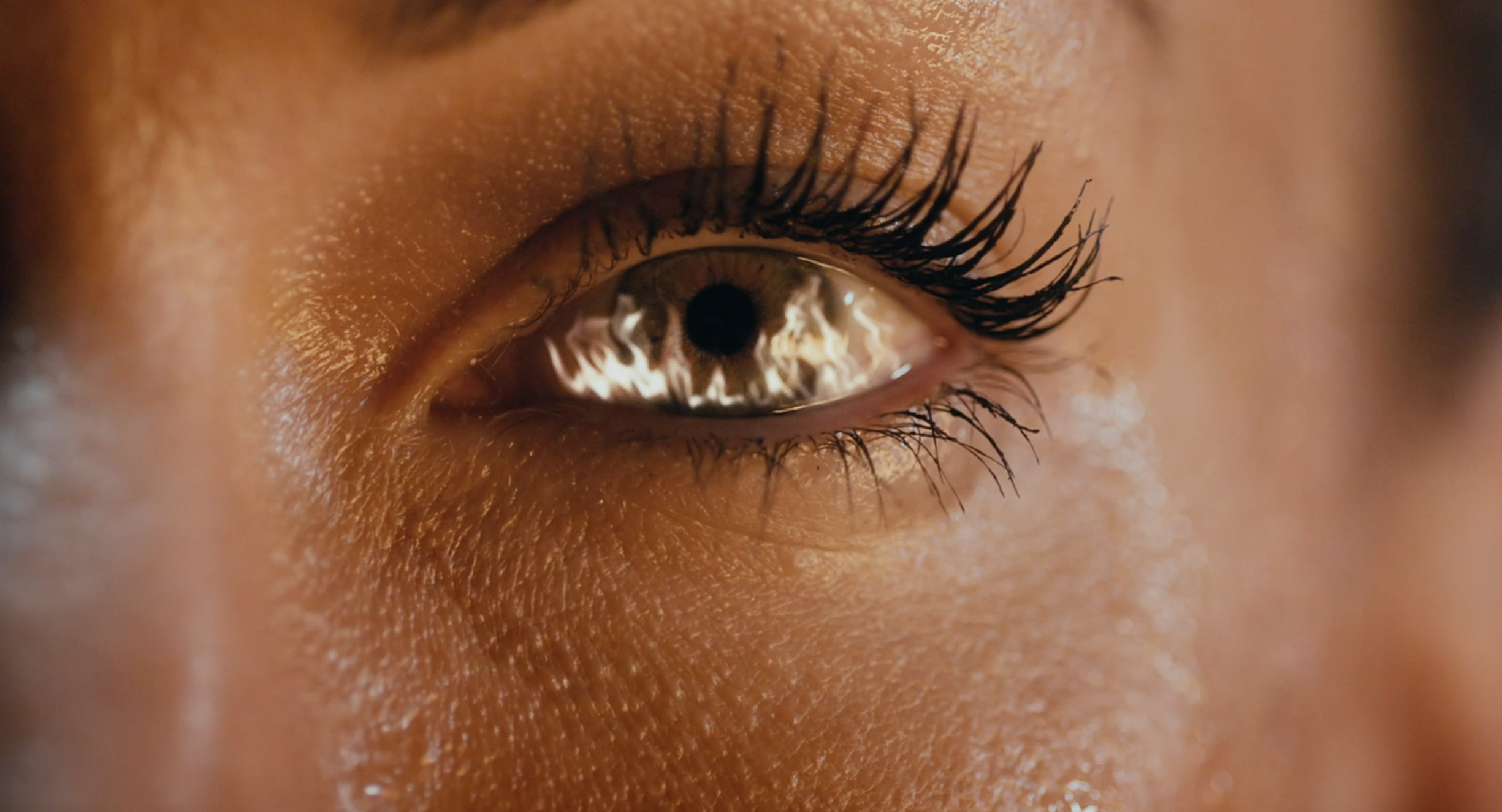 Screen Shot 2020-03-31 at 12.07.47 PM.png