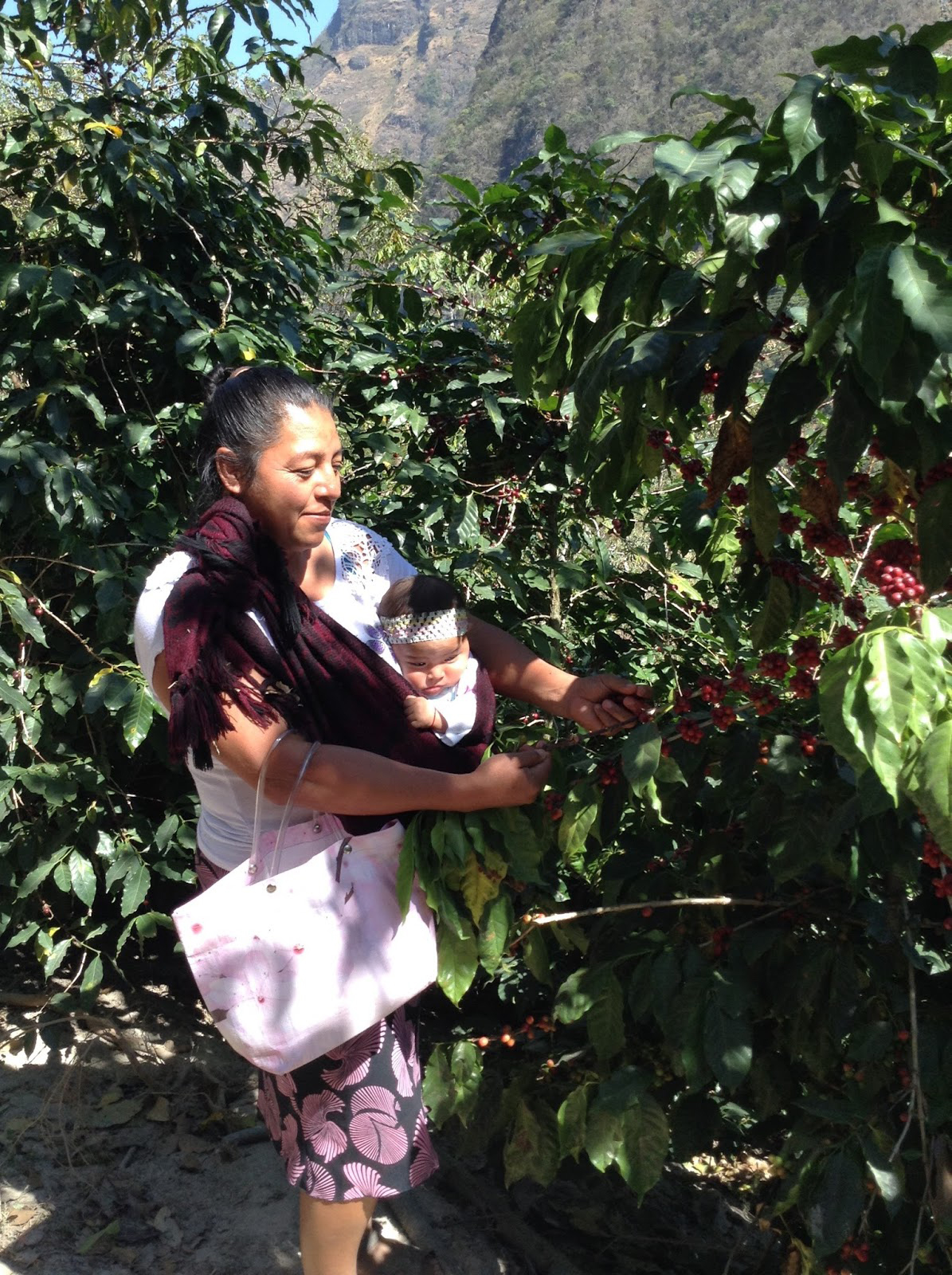 Maria Luz with baby showing us her coffee.