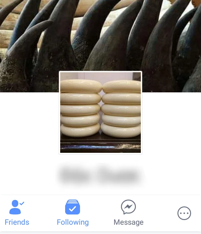 Rhino%20and%20Elephants__1543438055177.jpg
