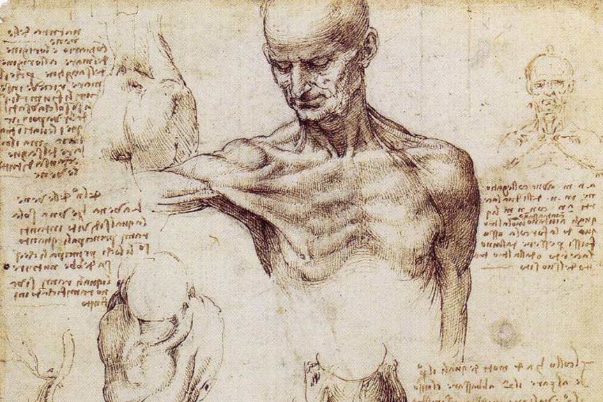 Leonardo-da-Vinci-Drawing.-Image-via-drawingsofleonardo.org_.jpg