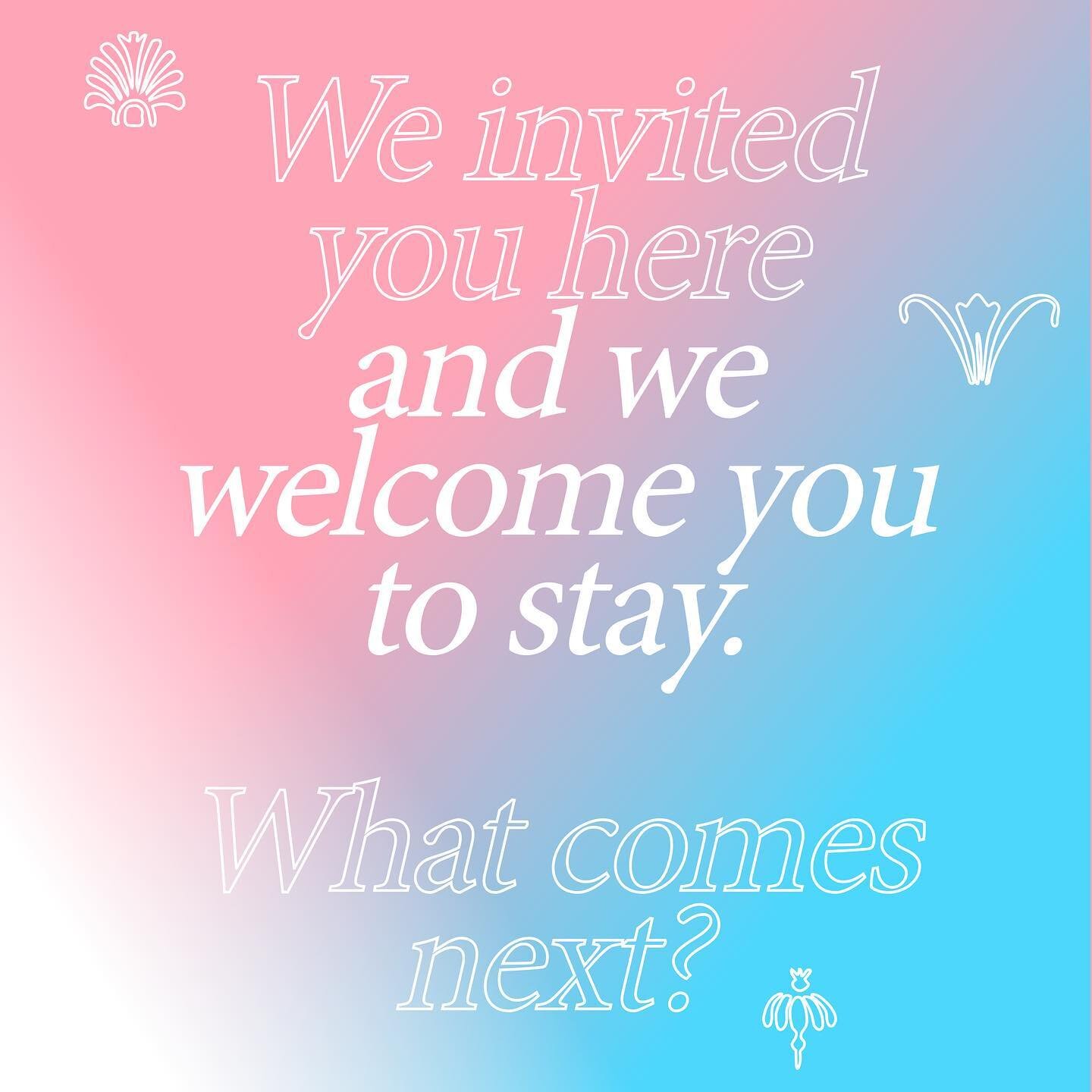 We received 100 applications for 5 spots in our mentorship program. While this makes us jump for joy, it also breaks our hearts. We realize now how urgently trans and/or non-binary creators need access to paid training programs like ours. We also rea