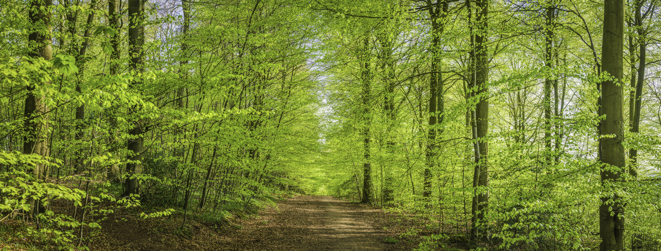 Photo by fotoVoyager/iStock / Getty Images
