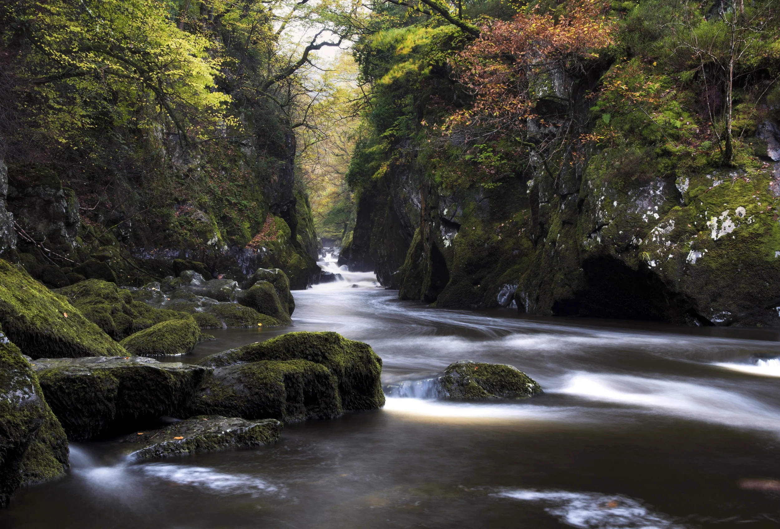 matt-holland_last of snowdonia.jpg