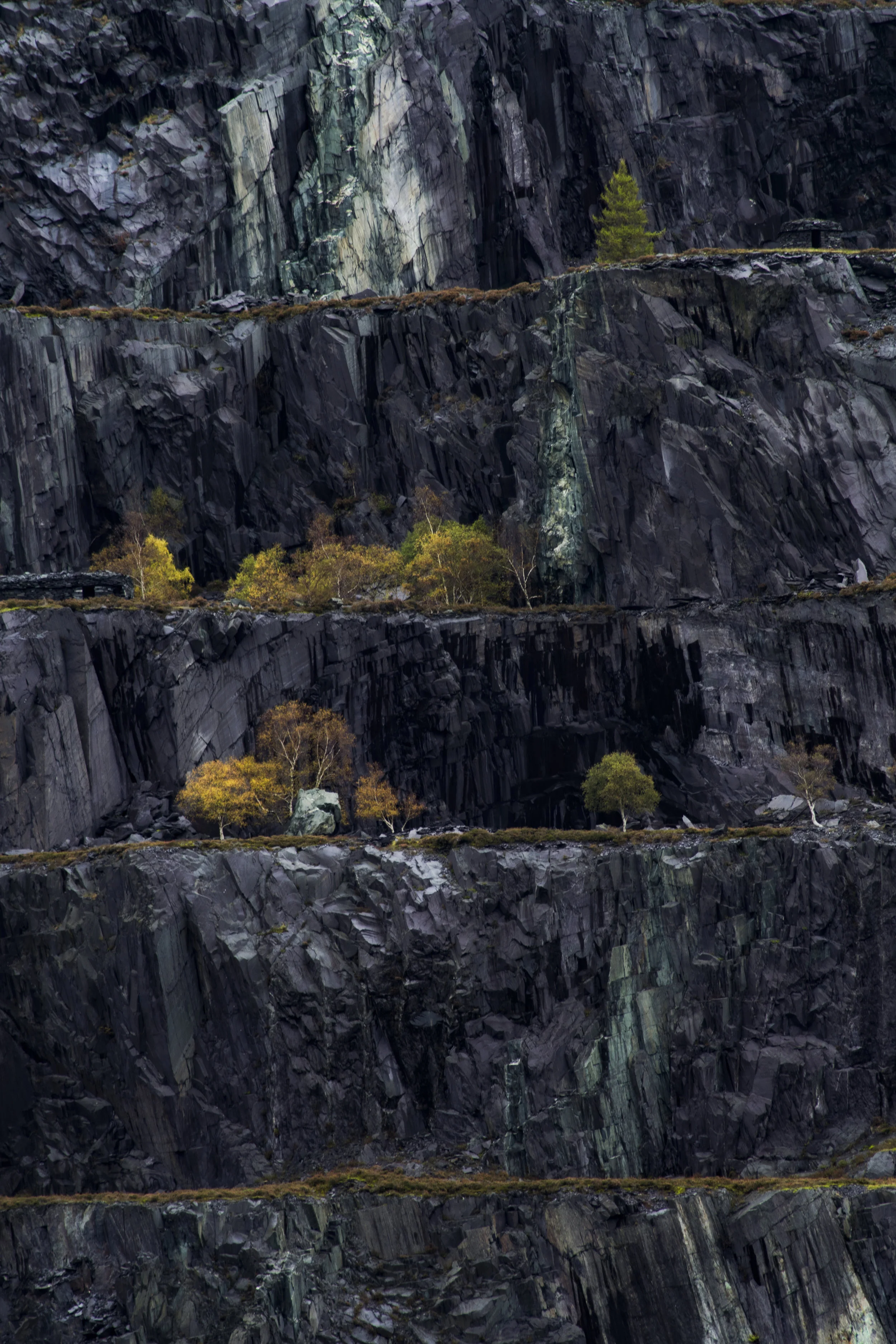 Dinorwic Pattern - Matthew Holland.jpg