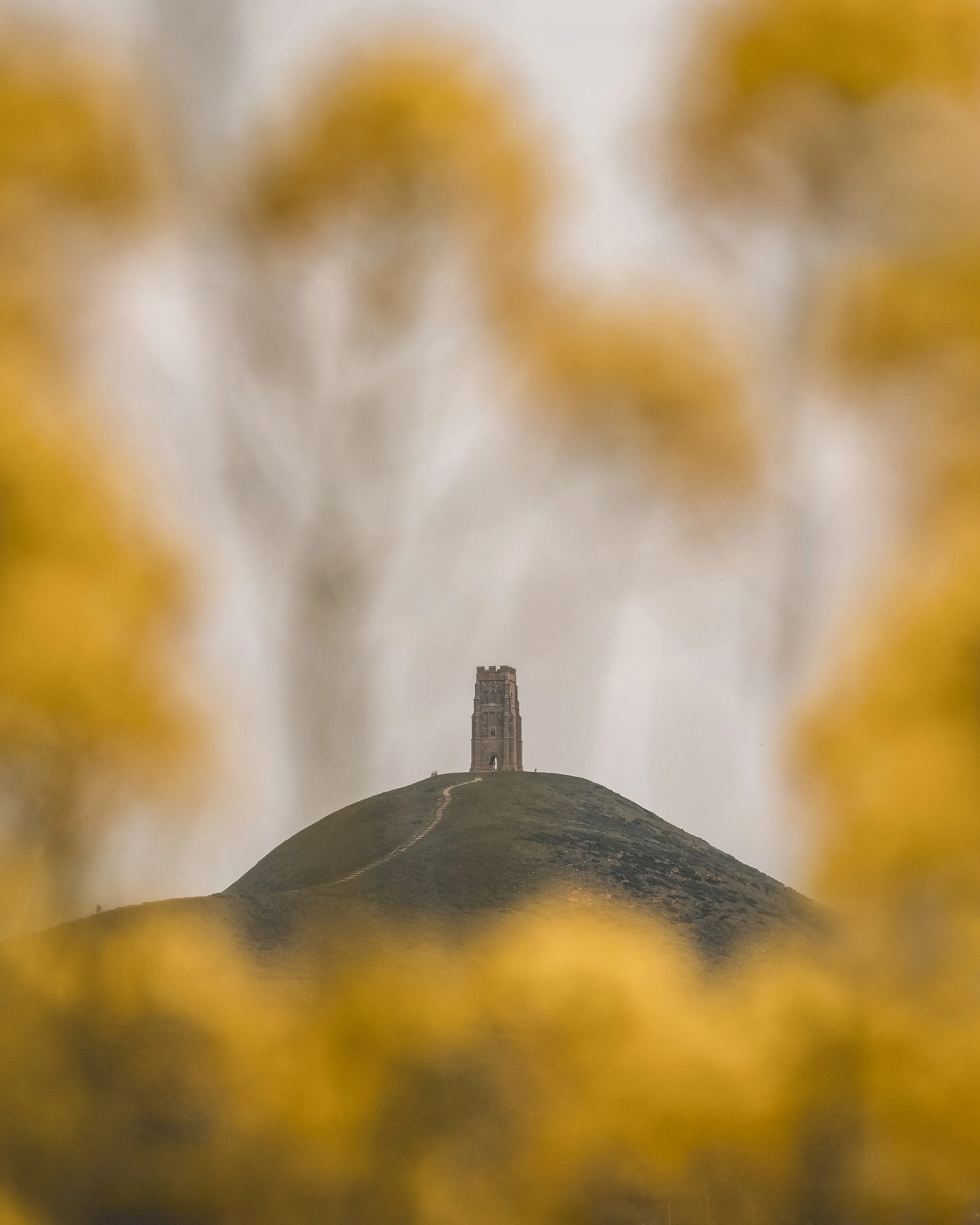 Olympus Om D E M1 Mark Iii Real World Review