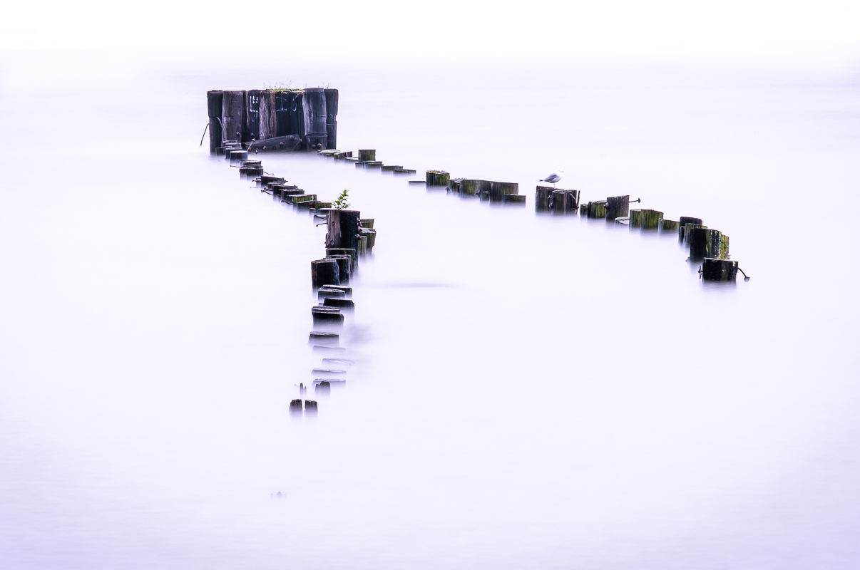 Close-up of pier pilings