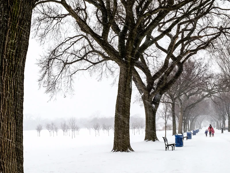 Snow on the Mall, 2015