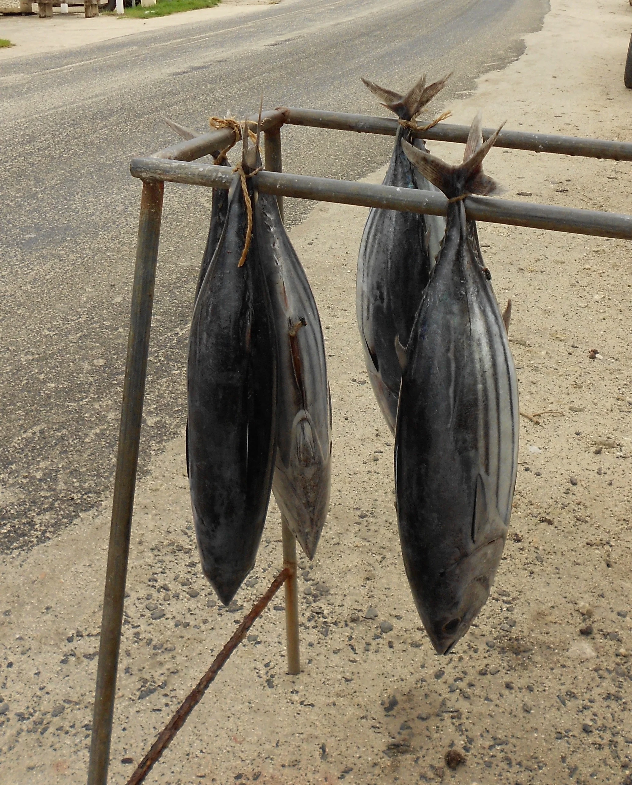 image: Bora Bora, 2012. Something about how they were hang made it serious. I wanted to take them with me.