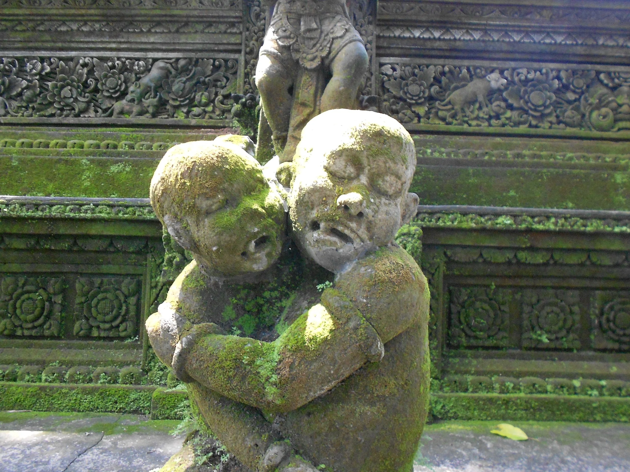 image: Bali, Ubud 2015. Monkey Forest. There is plenty to be scared of. Squeezing you and trembling together makes it easier.