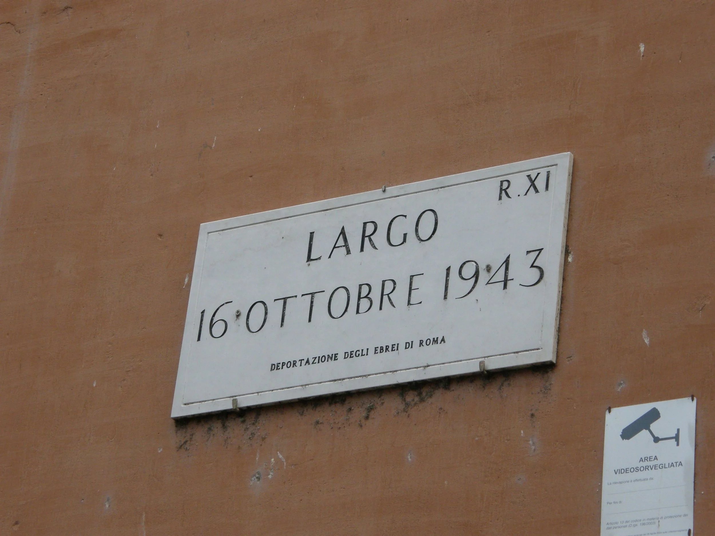 P1011475.jpg