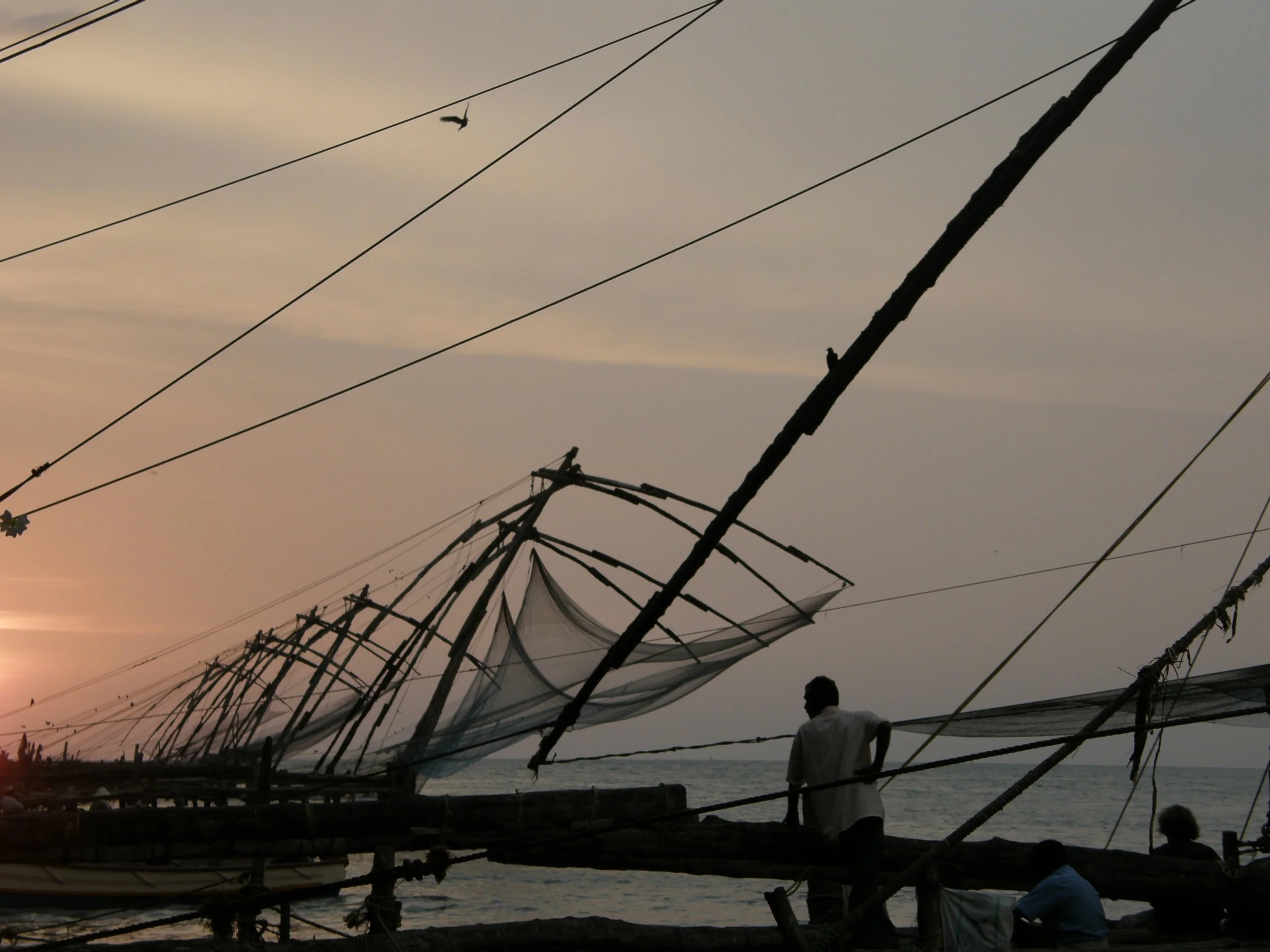 image: Cochin, India, 2006. The fishermen nests resting in infinite beauty.