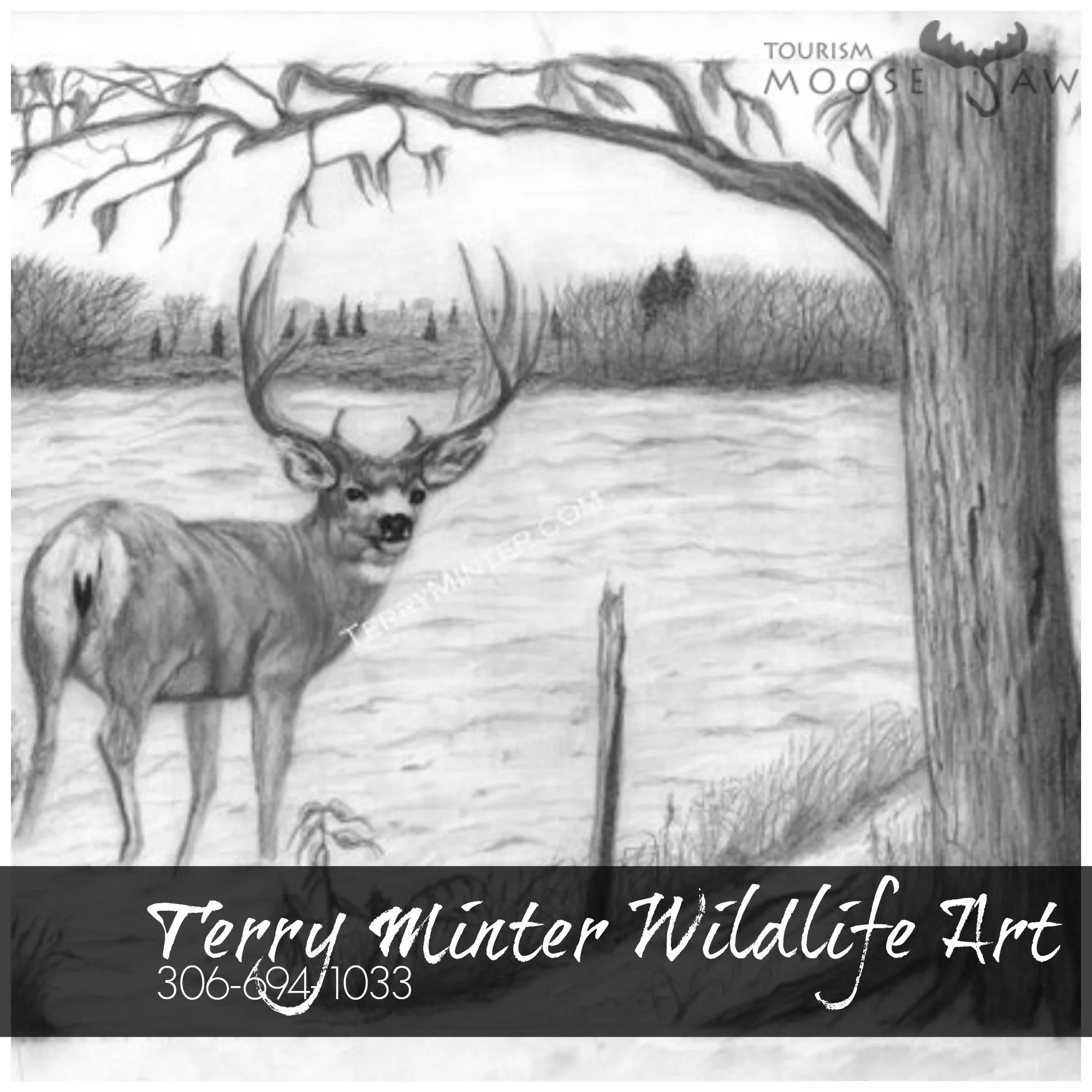 Terry minter.jpg