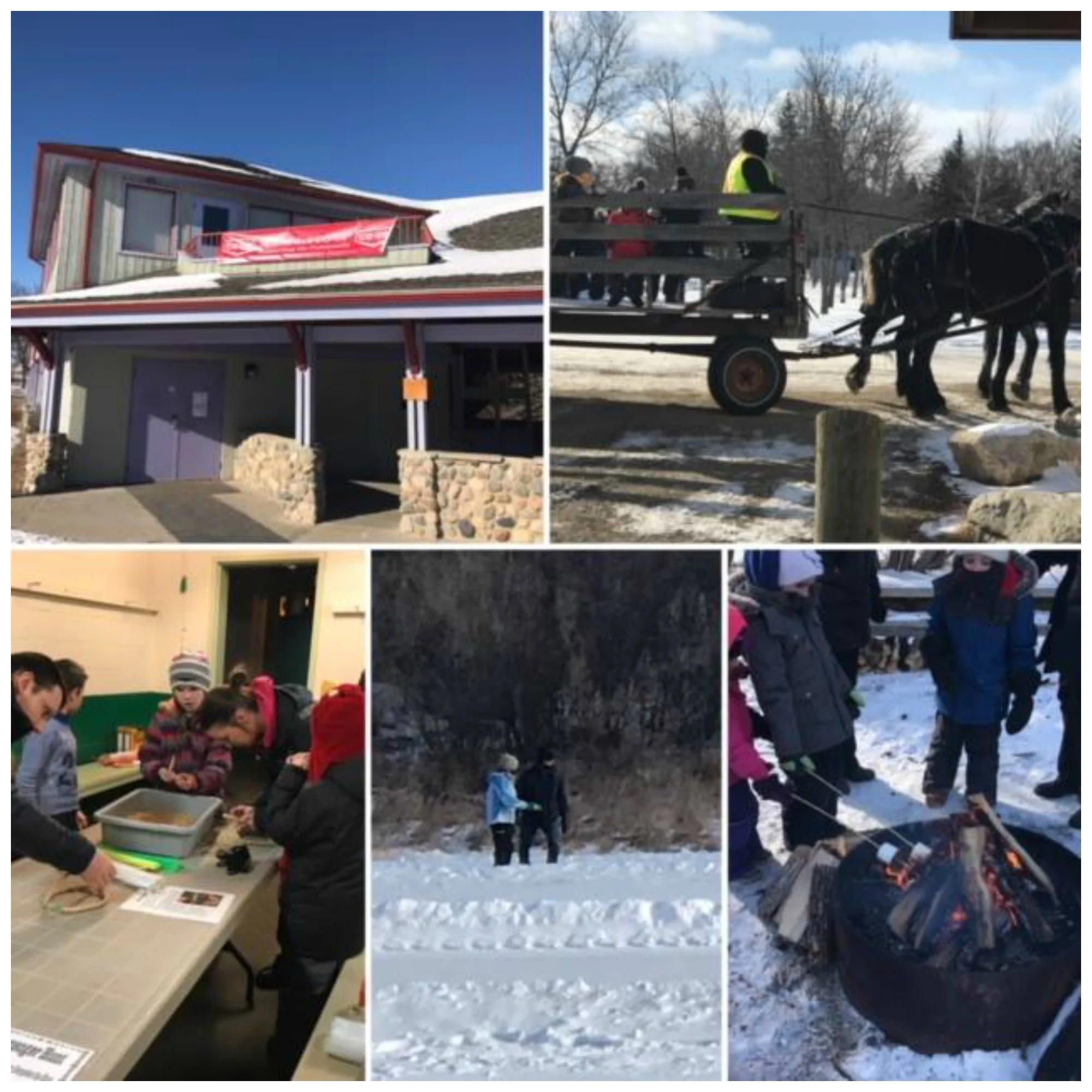 Winterfest. February 16th, 11 am to 3 pm.