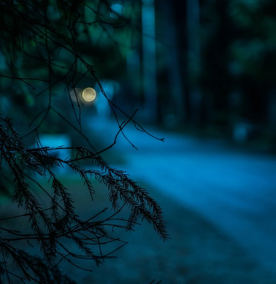 Are you afraid of the dark? Saskatchewan is known for its many ghost stories – join us for a walk to the Nicholle Homestead after dark and hear some spooky tales from this area. Curious what other events are taking place in provincial parks this summer? Check out our website: https://www.tourismsaskatchewan.com/search_parks?pagemode=Events Meet at the Buffalo Pound Entry Gate and drive to the Nicolle Homestead. They should arrive 15 minutes early and bring their own vehicles.