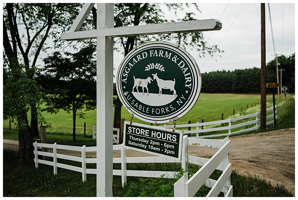 Adirondack Wedding Photographer_0001.jpg