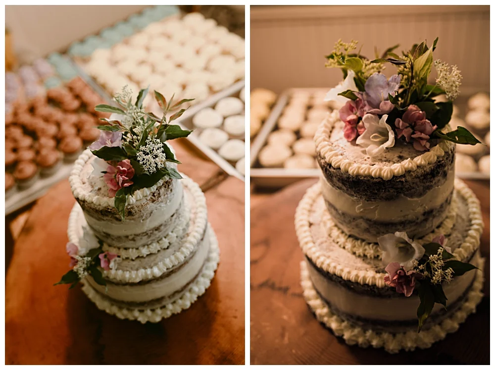 Adirondack Wedding Photographer_0035.jpg