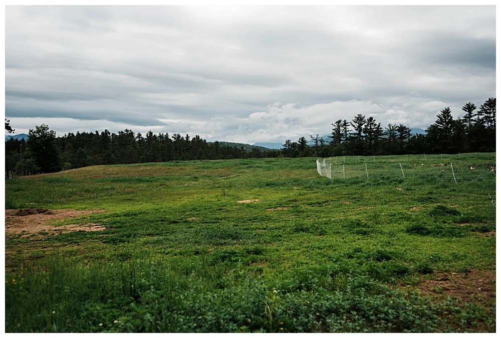 Adirondack Wedding Photographer_0058.jpg