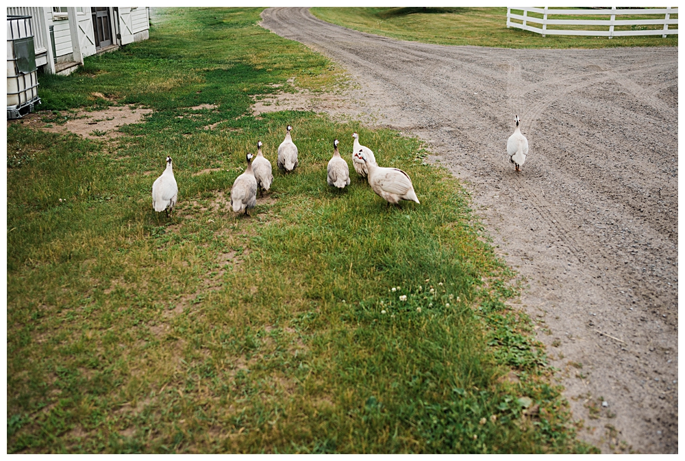 Adirondack Wedding Photographer_0089.jpg
