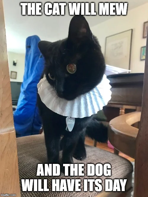 ziggy shakespeare meme.jpg