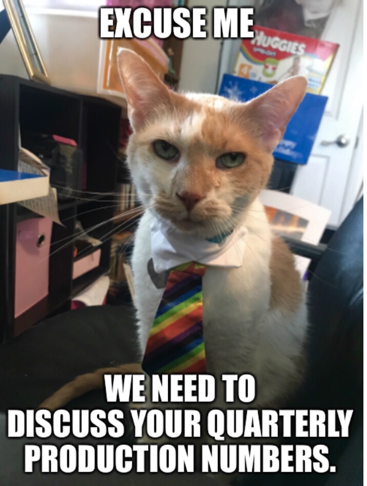 This photo meme of my cat wearing a tie has nothing to do with this post but look how charming he is!