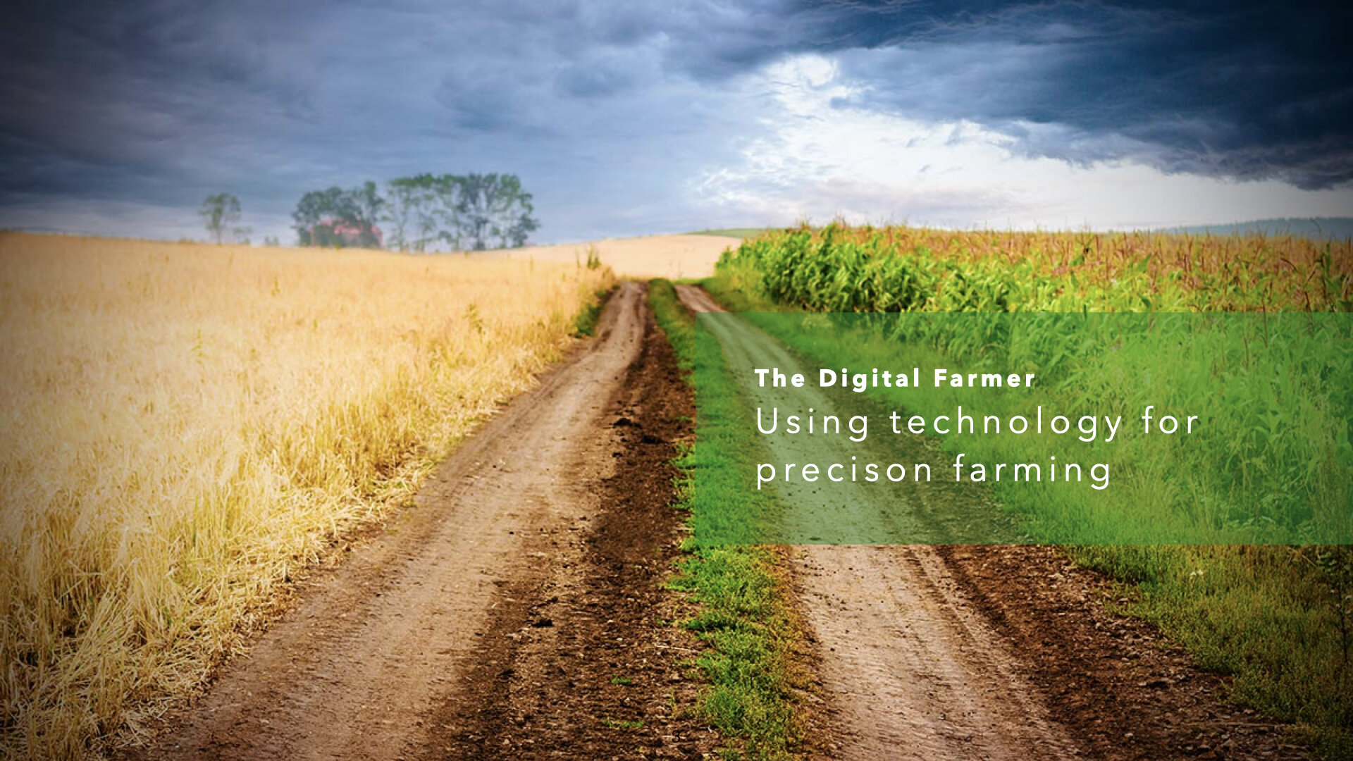 Digital Farmer 0001b.003.jpeg