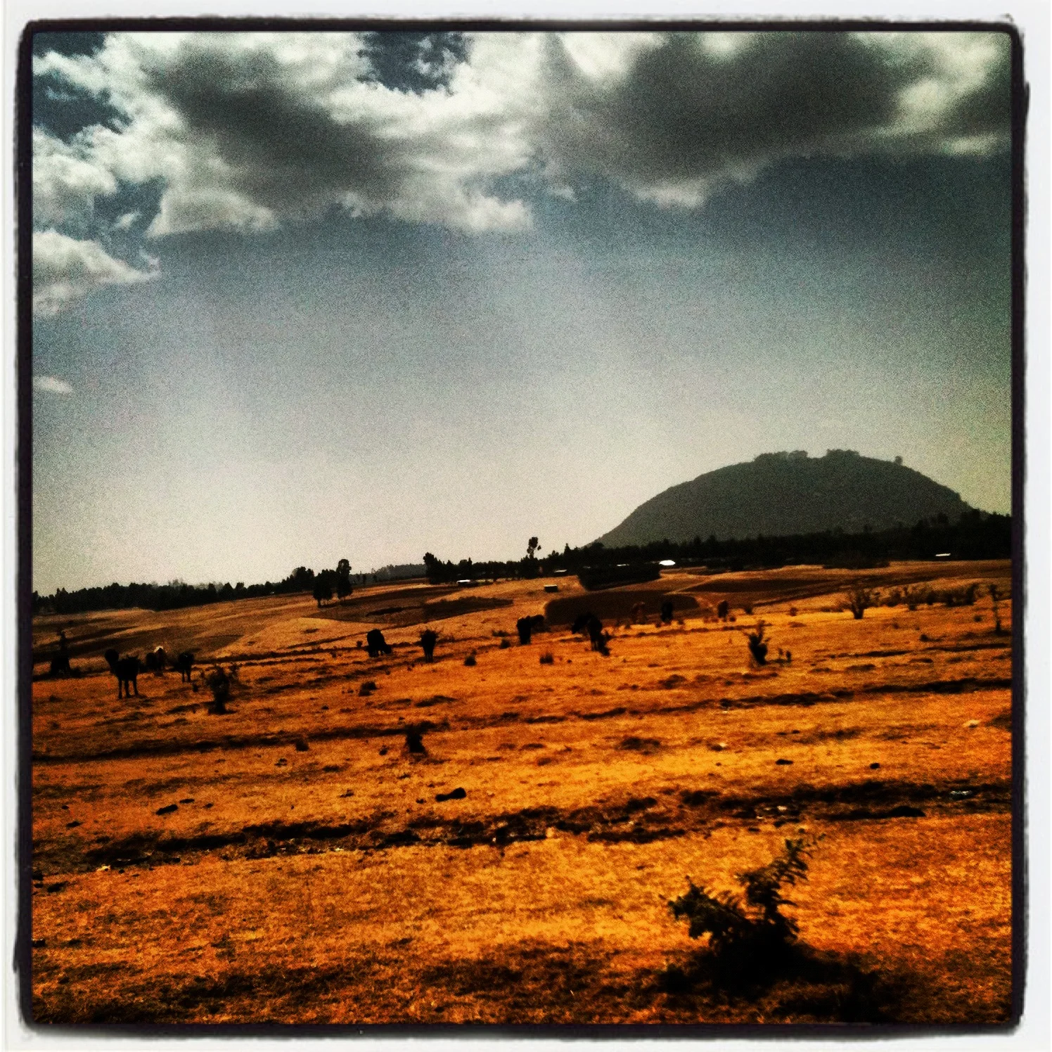 photoCAQGOWE7.JPG
