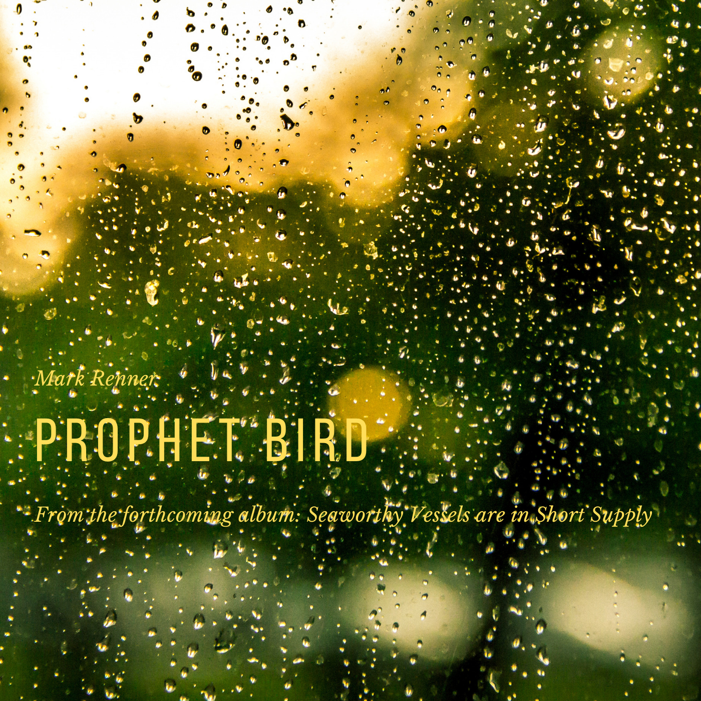 26 October 2019- Prophet Bird is the lead-in single taken from Mark’s forthcoming album: Seaworthy Vessels are in Short Supply . The song is available now to preorder from Bandcamp , as one of four songs featured on the Prophet Bird EP , three of which are exclusive to this release. All four songs are available on the limited edition cd, with full- color jacket. Included with the preorder- an immediate download of the single, and the rest of the material becomes available at the end of November, and will eventually feature on iTunes, Amazon and the usual streaming/ dl sources.