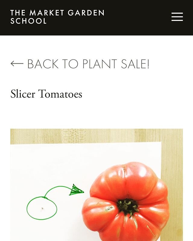Let&rsquo;s get growing! We&rsquo;ve got organic veggie starts to help get your garden going. Please visit link in bio or our website for details! #organicseedlings #plantsale #curbside-pickup #letsgetgrowing #growyourownfood