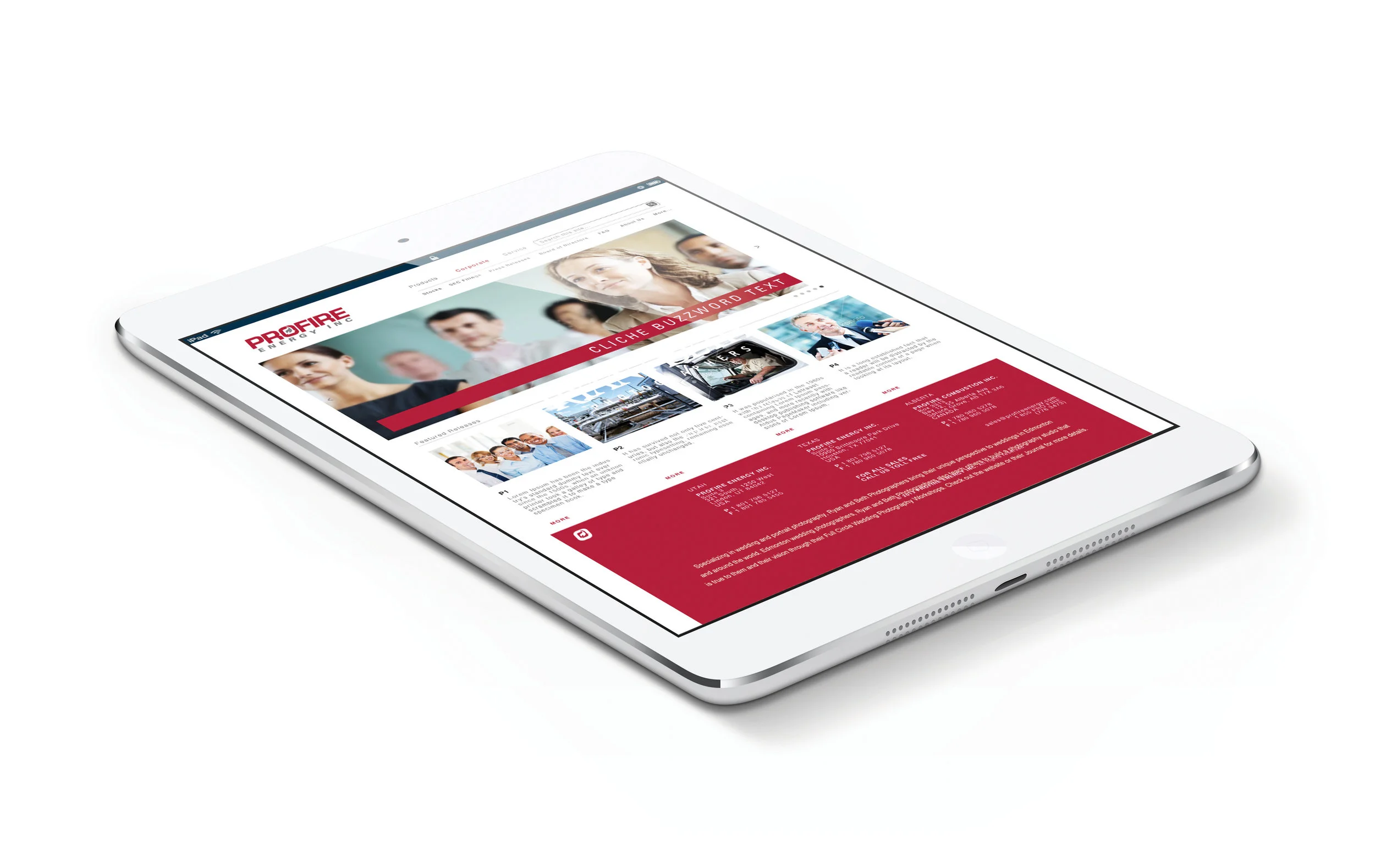 Profire iPad.jpg
