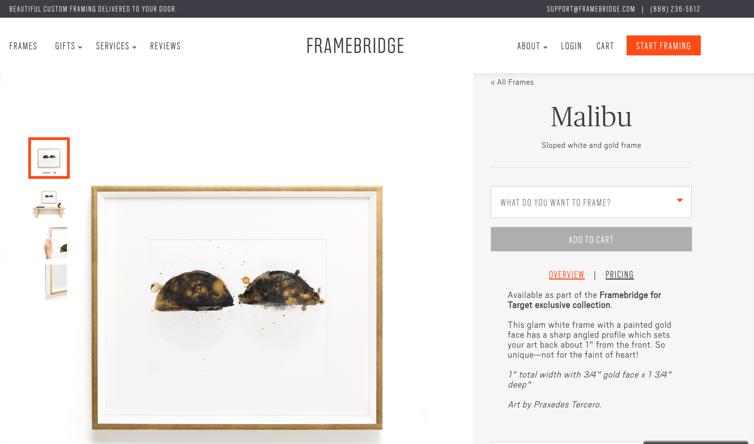 Framebridge + Target Frame Collaboration