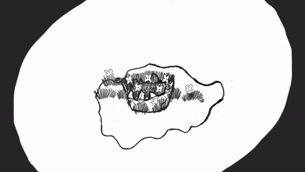 ezgif.com-video-to-gif (1).gif