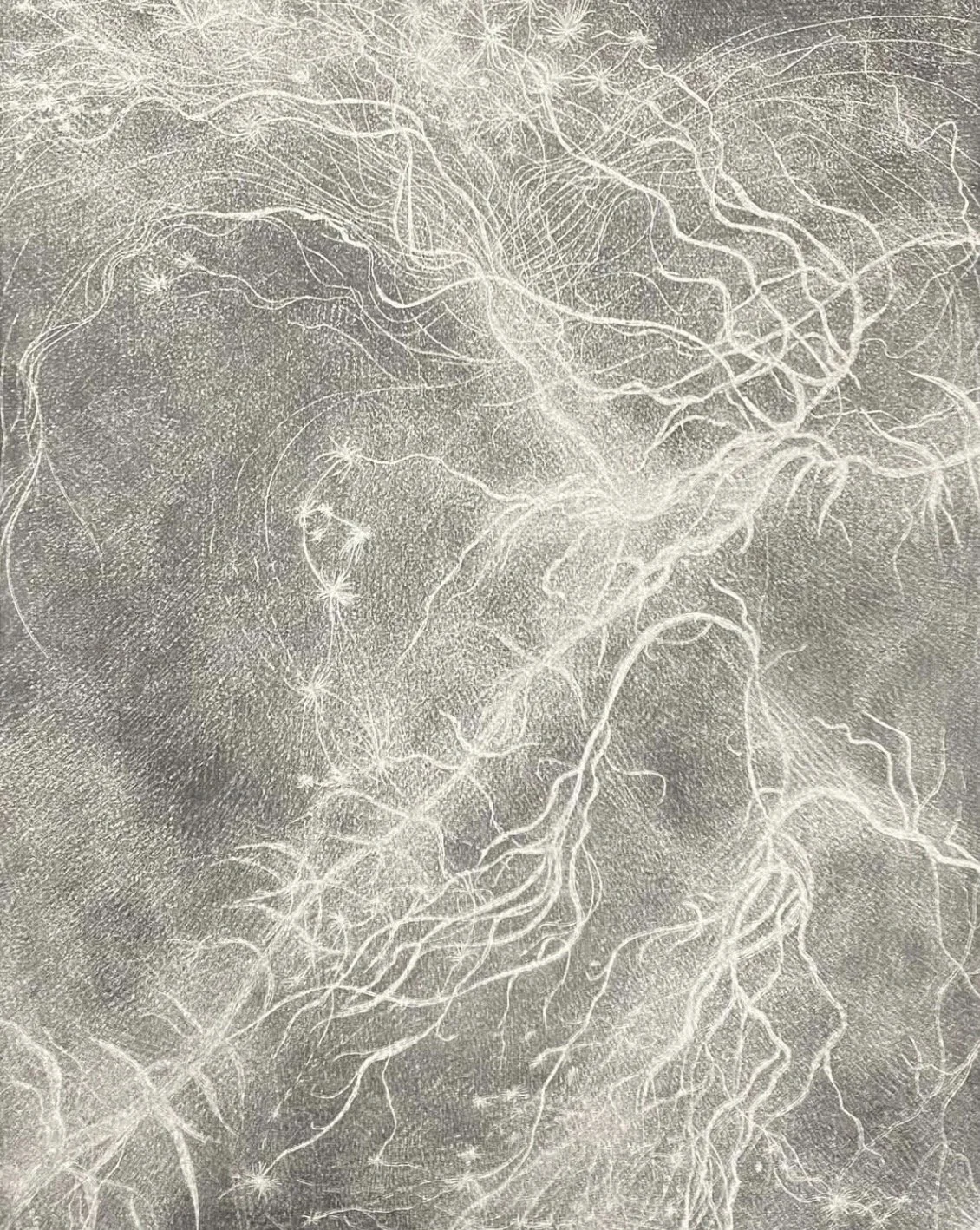 Memory Paths II, 2025, 10” x 14”, drypoint etching (silver ink on black paper) 