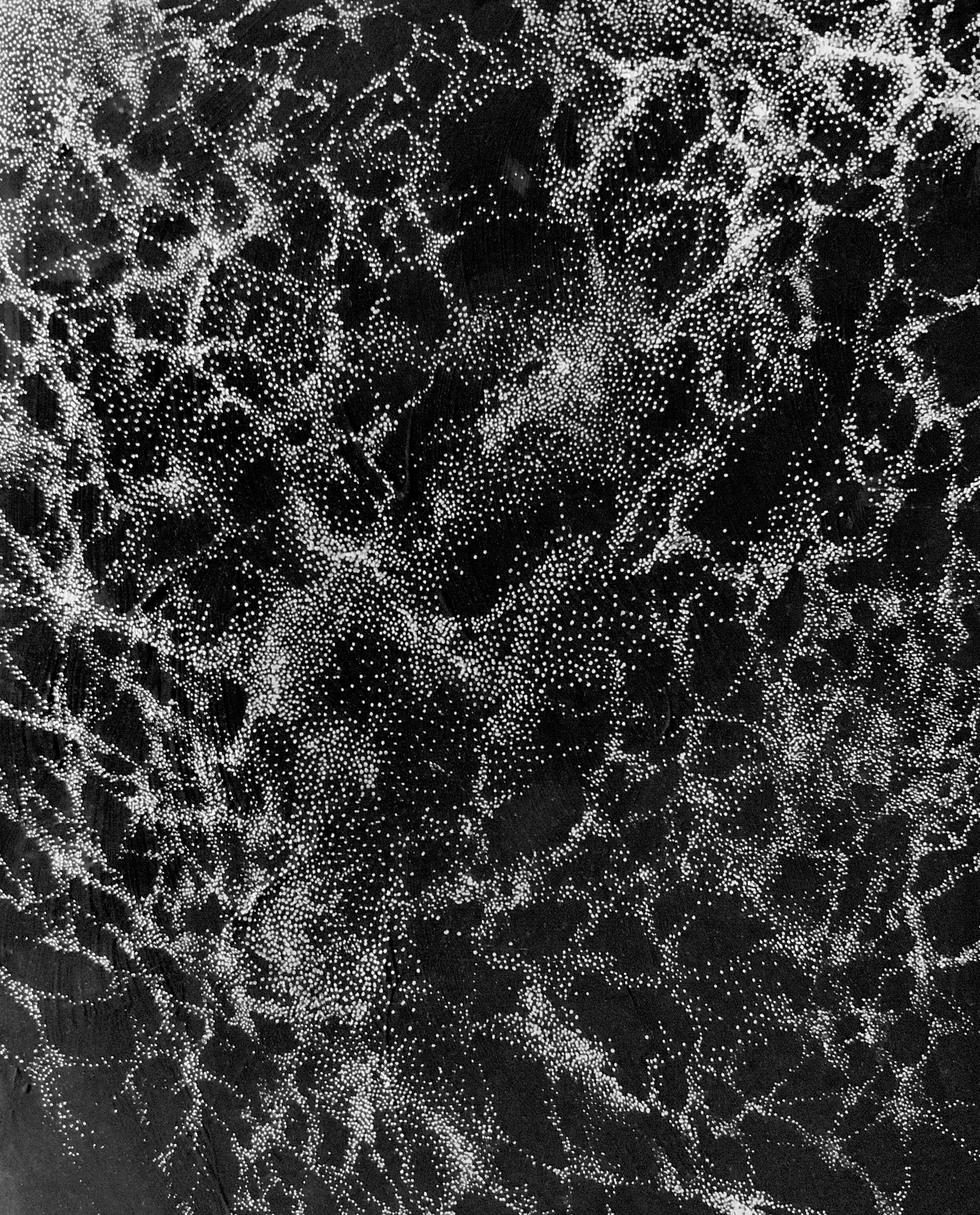 Dark Matter V, 2020, 8” x 10” , Acrylic and silver ink on wood panel