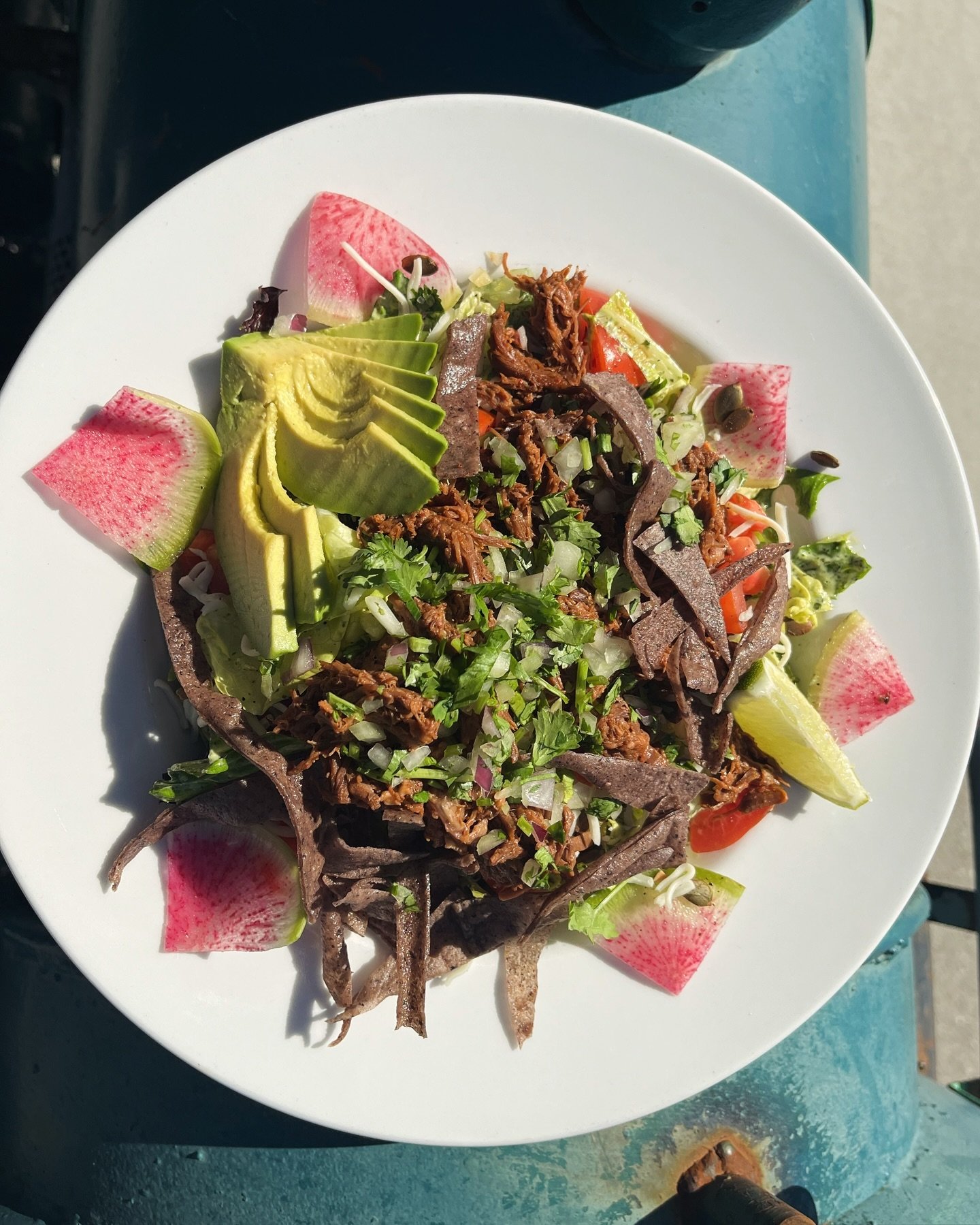 New lunch and dinner special for Cinco de Mayo! Birria Salad&mdash;Fresh greens mixed with lime cilantro dressing, jack cheese, tomato, radish, pepitas &amp; avocado. Topped with roasted birria, cilantro &amp; onion, crispy tortilla strips and lime. 