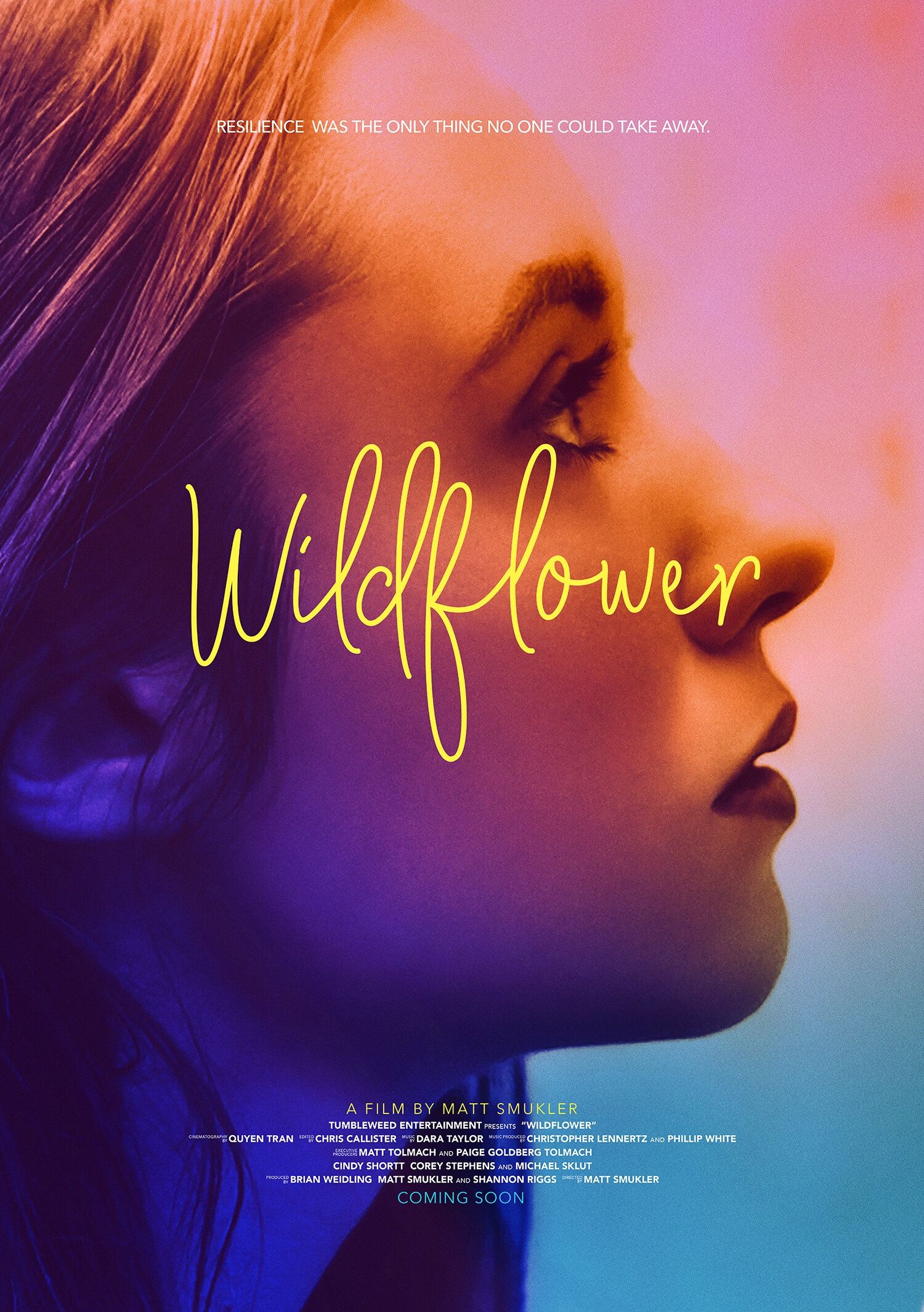 Wildflower 